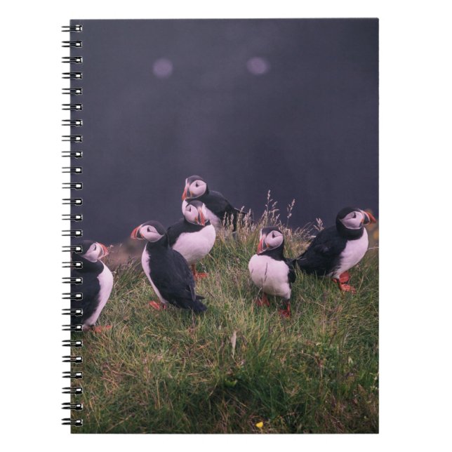 Atlantisk handbok anteckningsbok (Framsidan)