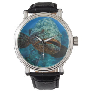 Atlantisk jättegrouper armbandsur