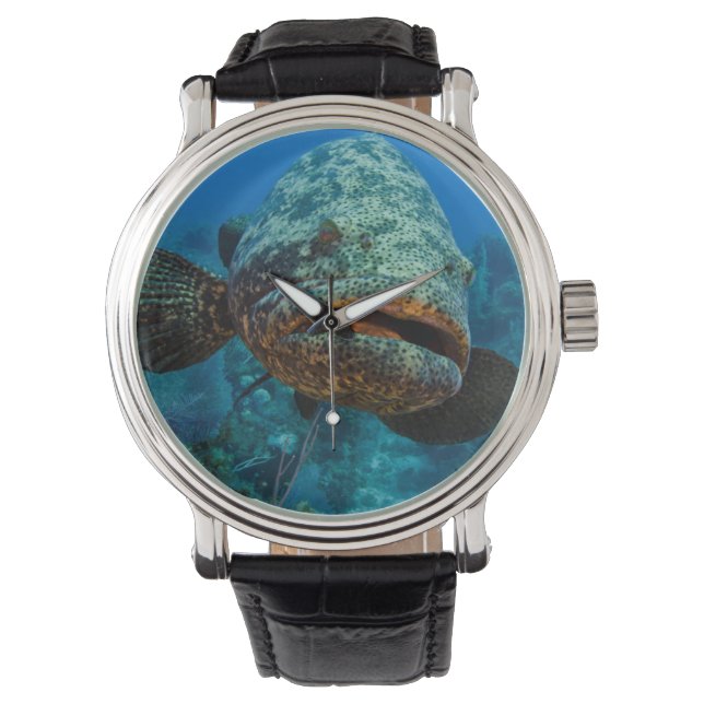 Atlantisk jättegrouper armbandsur (Framsida)