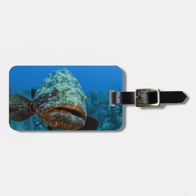 Atlantisk jättegrouper bagagebricka (Horisontell Framsida)