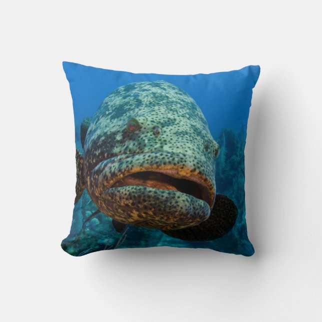 Atlantisk jättegrouper kudde (Framsida)