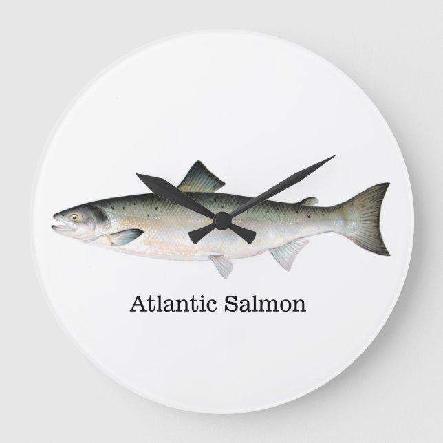Atlantisk laxfisk stor klocka (Framsida)