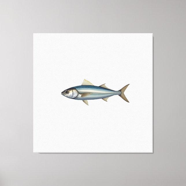 Atlantisk makrill. canvastryck (Framsida)