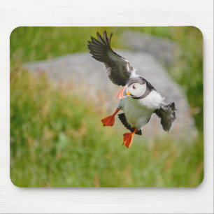 Atlantisk mousepad för Puffinfågelflyg Musmatta