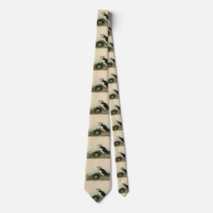 Atlantisk puffin från Audubon's Birds of America Slips