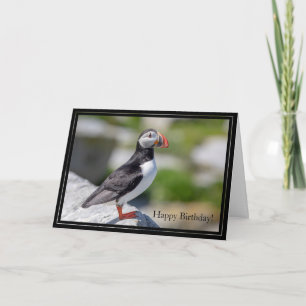 Atlantisk puffin med grattis på födelsedagen-kort kort