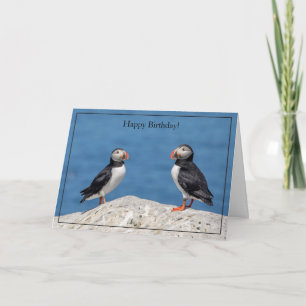 Atlantisk puffin med grattis på födelsedagen-kort kort