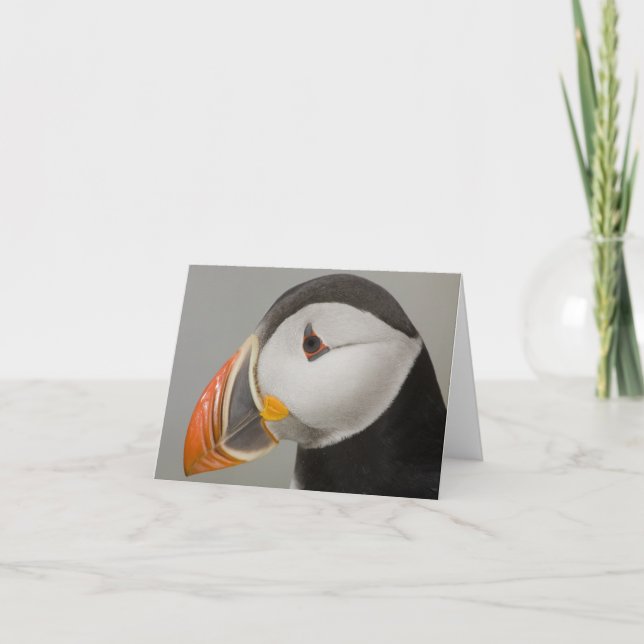 Atlantisk Puffin Notecards Kort (Framsida)