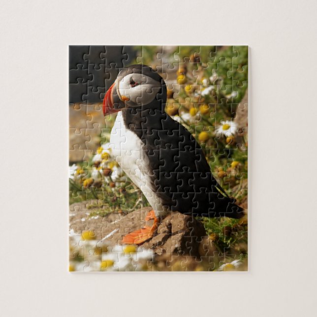 Atlantisk Puffin Pussel (Vertikal)