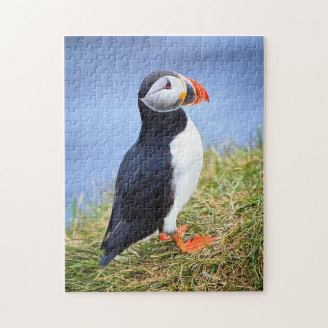 Atlantisk Puffin Pussel (Vertikal)