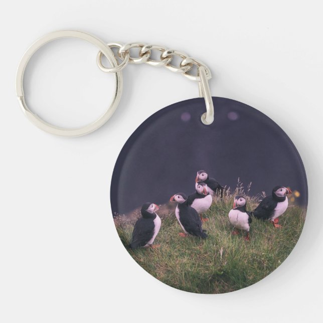 Atlantisk puffins (Framsidan)