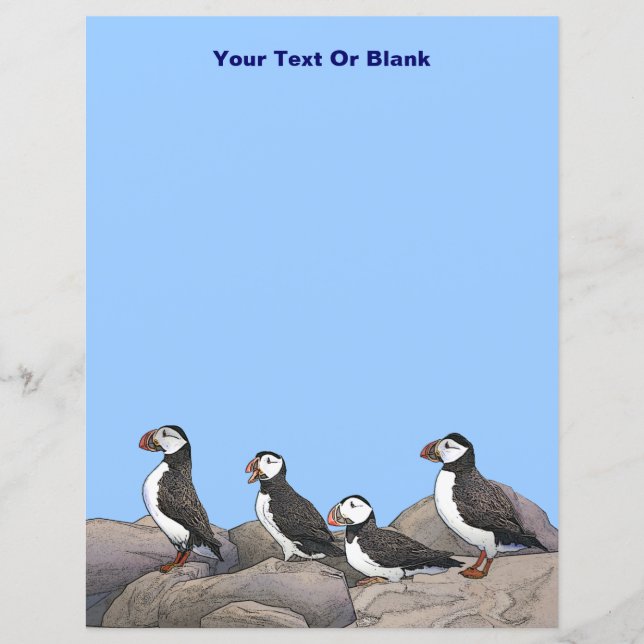 Atlantisk puffins (Framsida)