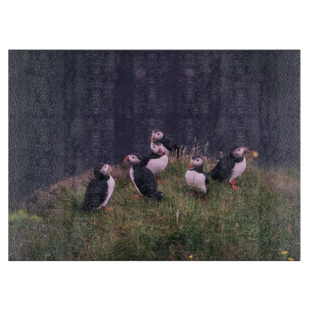 Atlantisk puffins (Framsidan)