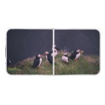 Atlantisk puffins