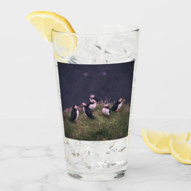 Atlantisk puffins glaskopp (Framsida Ice)