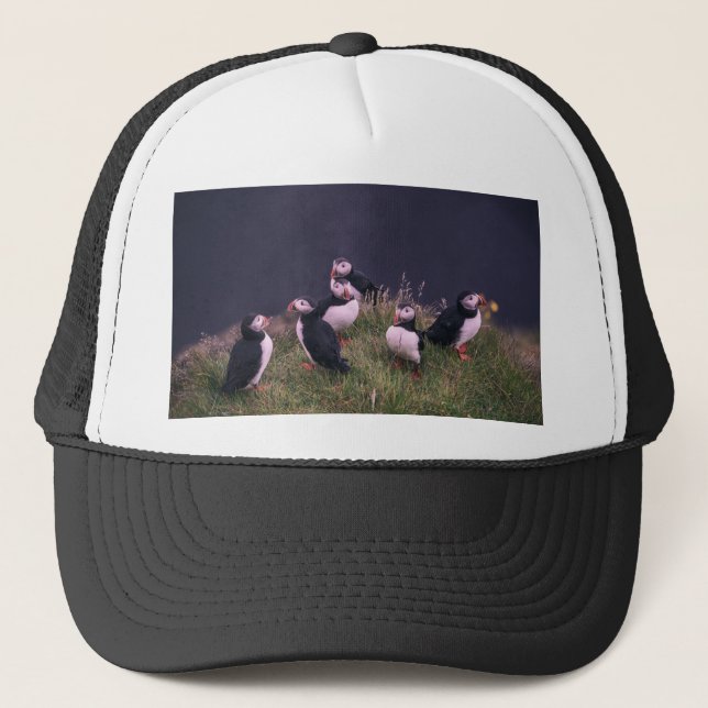 Atlantisk puffins keps (Framsida)