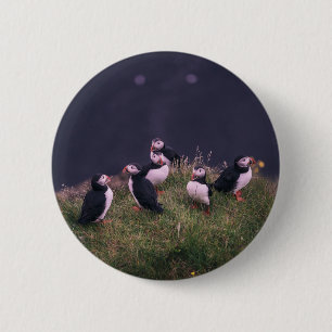 Atlantisk puffins knapp
