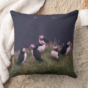 Atlantisk puffins kudde