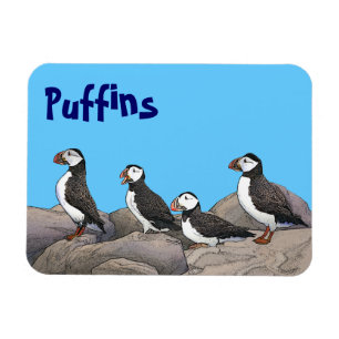 Atlantisk puffins magnet