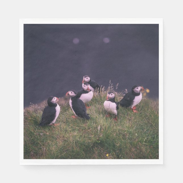 Atlantisk puffins pappersservett (Framsidan)