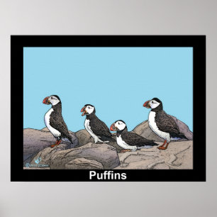 Atlantisk puffins poster