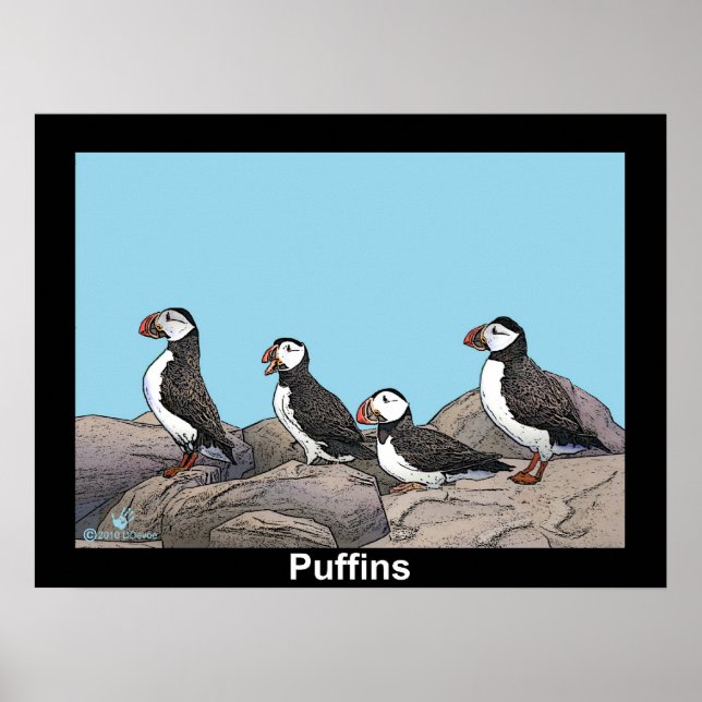 Atlantisk puffins poster (Framsidan)