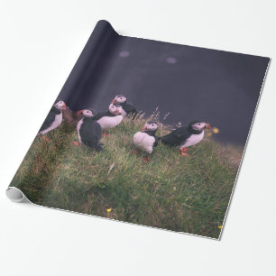 Atlantisk puffins presentpapper