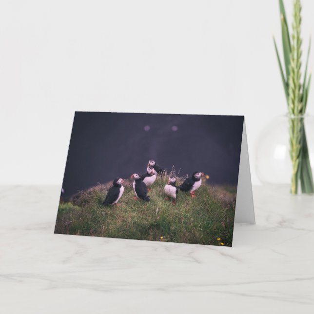 Atlantisk puffins tack kort (Framsida)