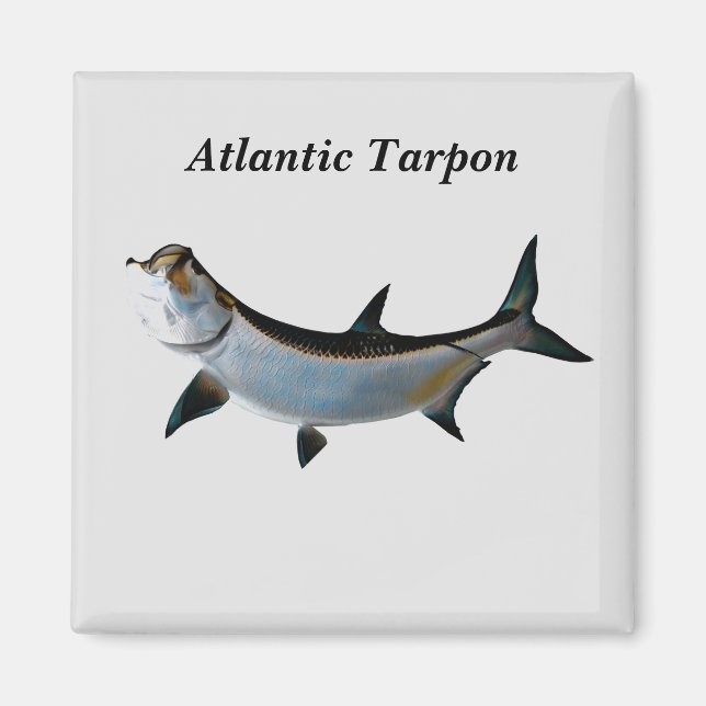 Atlantisk Tarpon Magnet (Framsidan)