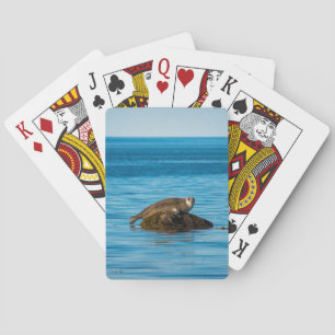 Atlantisk vikare casinokort