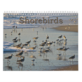 Atlantiska Shorebirds Kalender