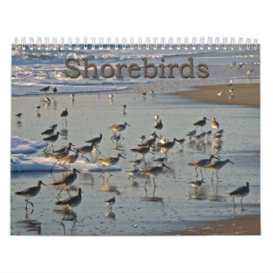 Atlantiska Shorebirds Kalender