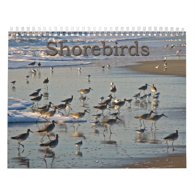 Atlantiska Shorebirds Kalender (Omslag)