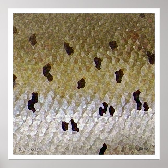 Atlantlax Poster (Framsidan)