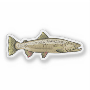 Atlantlaxillustration Klistermärken