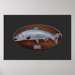 Atlantlaxtrofi Visning Plaque Poster