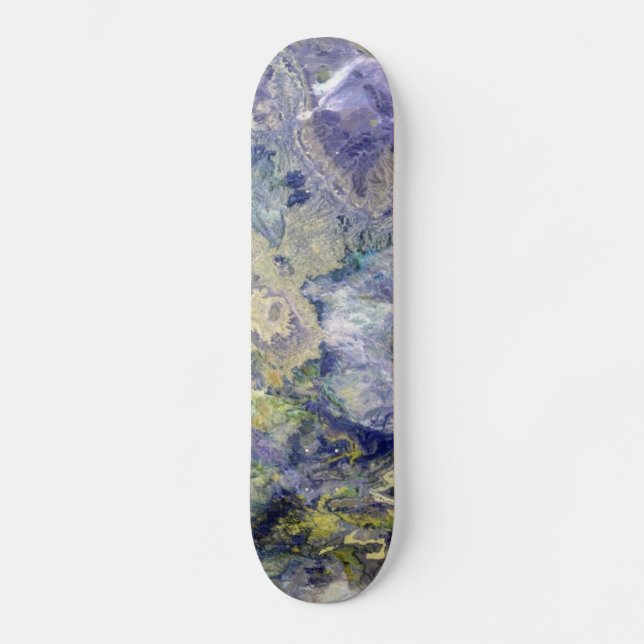 Atlas<br>Skateboard Skateboard Bräda 19,5 Cm (Framsida)