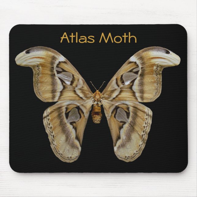 Atlas Moth Mousepad Musmatta (Framsidan)
