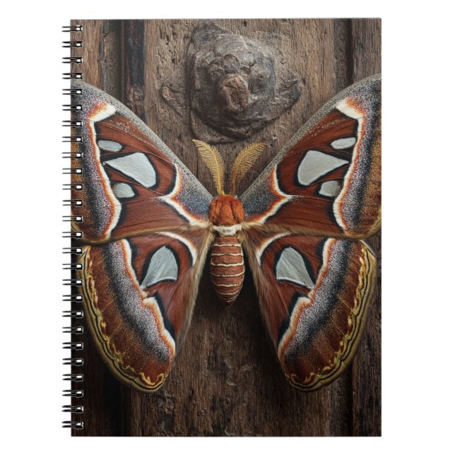 Atlas Moth Rustic Notebook Anteckningsbok (Framsidan)