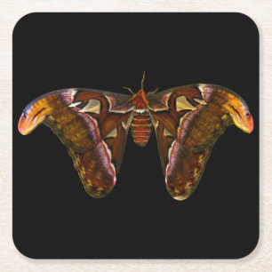 Atlas Moth - Snake Head Underlägg Papper Kvadrat