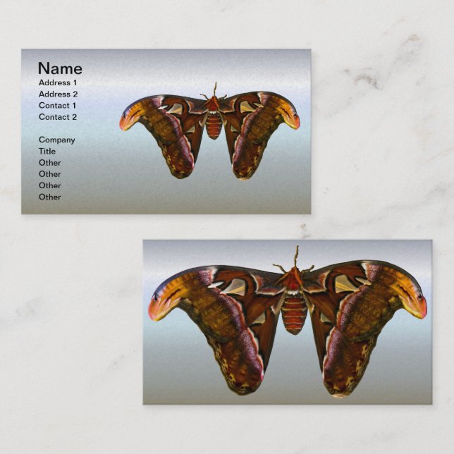 Atlas Moth - Snake Head Visitkort (Fram/baksida)