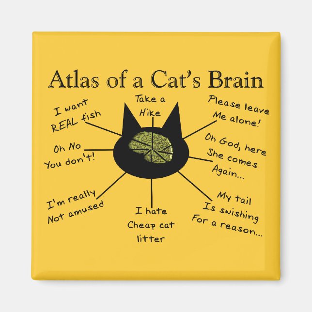 Atlas of a cat's Brain Magnet (Framsidan)