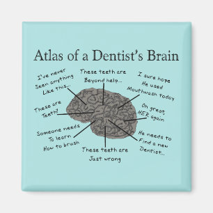 Atlas of a dentists Brain Humous Magnet