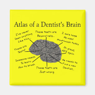 Atlas of a dentists Brain Magnet