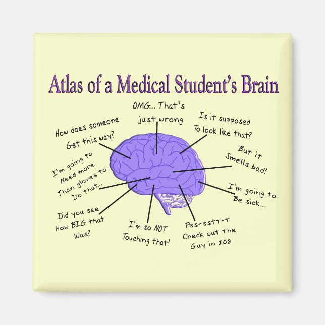 Atlas of a Medical Student Brain #2 Magnet (Framsidan)