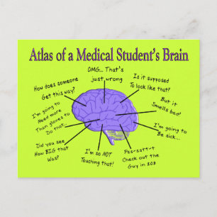 Atlas of a Medical Student Brain #2 Vykort