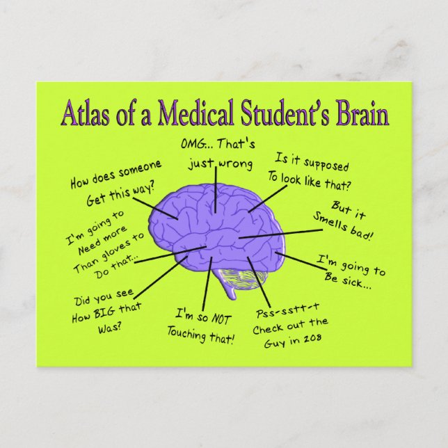 Atlas of a Medical Student Brain #2 Vykort (Framsida)