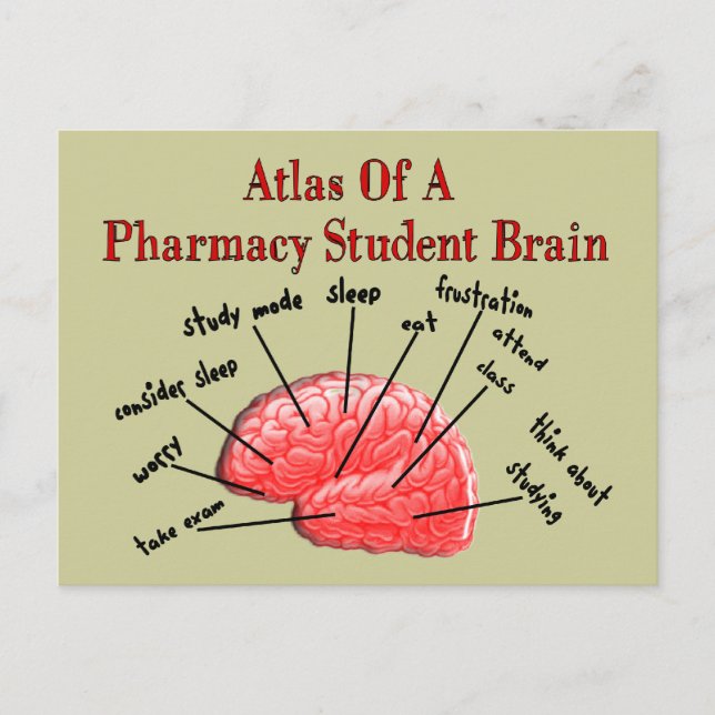 Atlas of a Pharmacy Student Brain Vykort (Framsida)