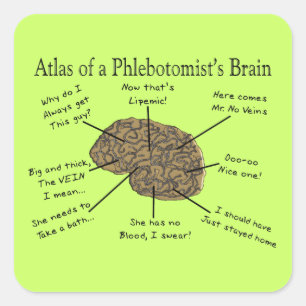 Atlas of a Phlebotomist's Brain Fyrkantigt Klistermärke