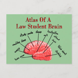 Atlas of Law Student Brain Vykort